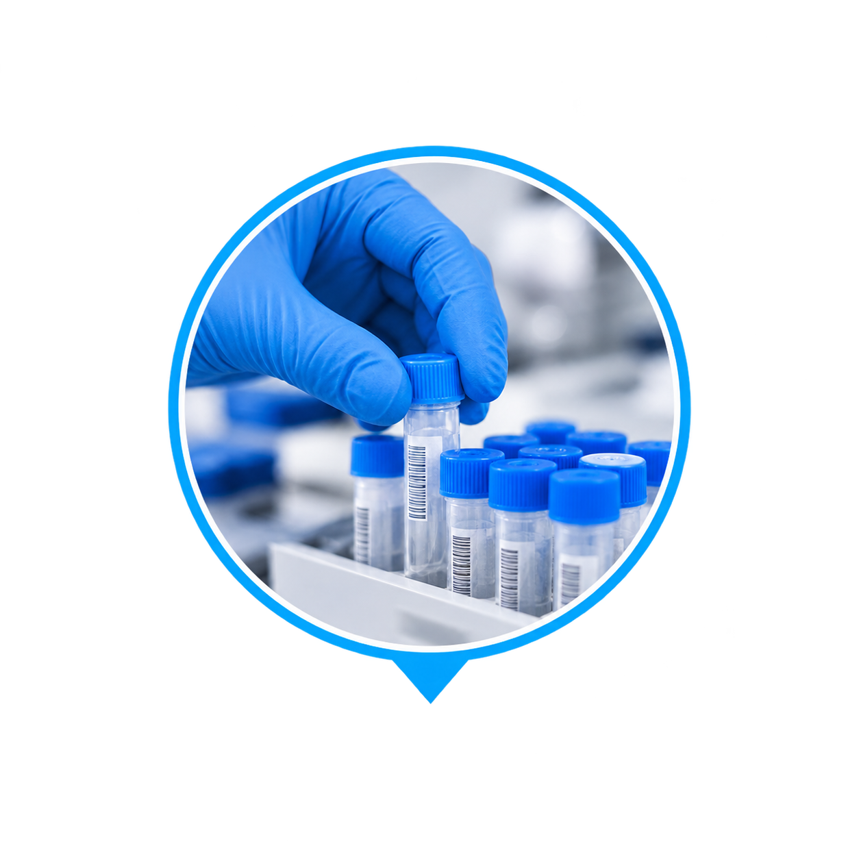 Processamento e armazenamento